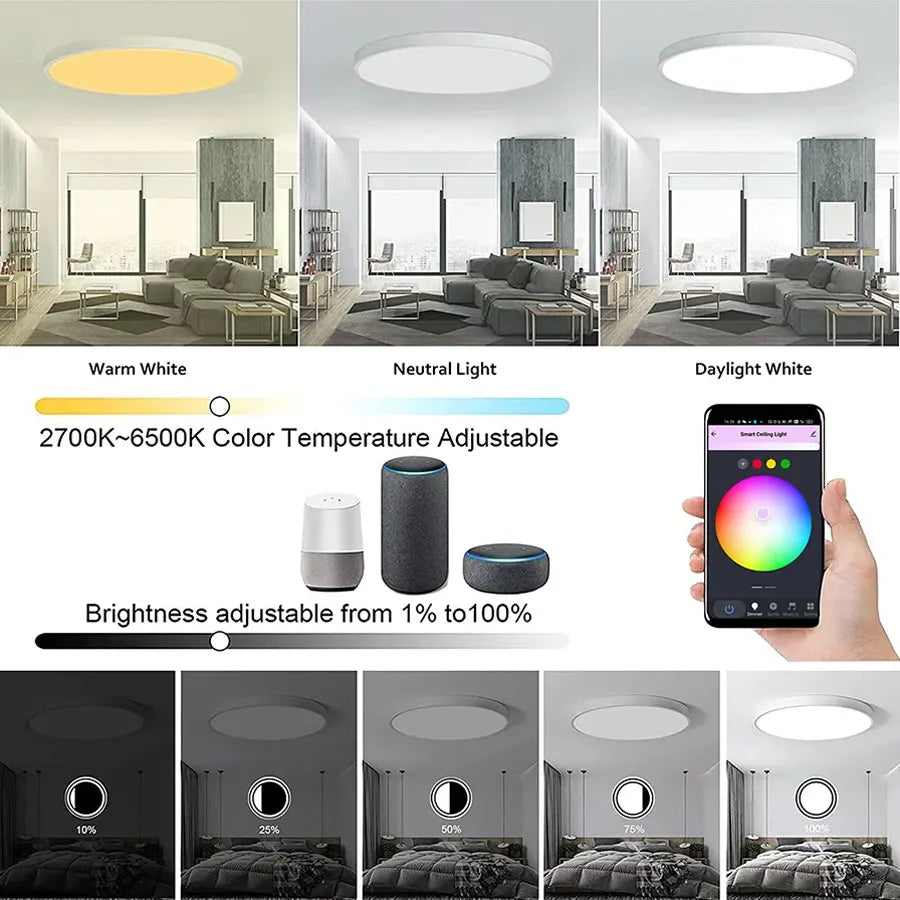 Tuya Smart LED Ceiling Light | WiFi RGB Dimmable 24W Modern Lamp