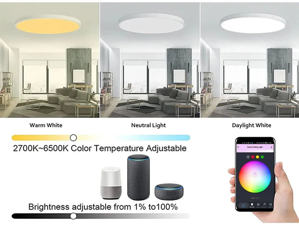 Tuya Smart LED Ceiling Light | WiFi RGB Dimmable 24W Modern Lamp