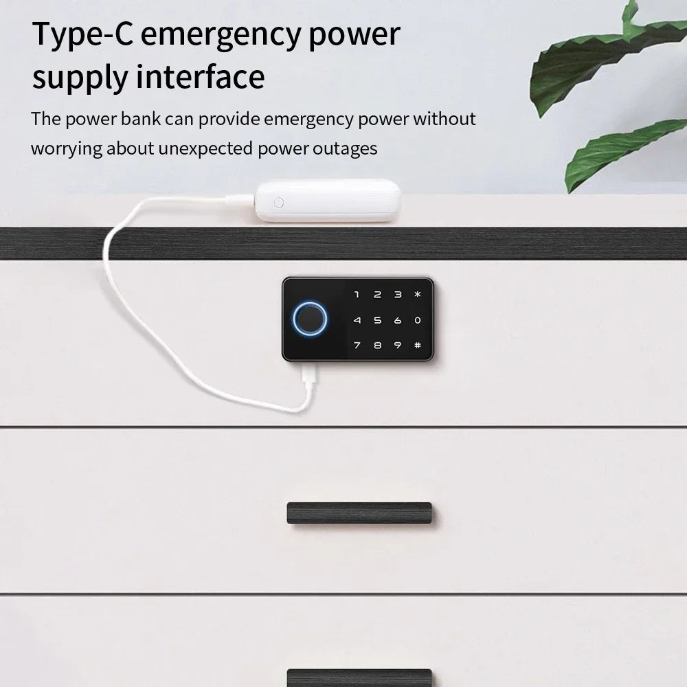 LUCKING DOOR Tuya Smart Fingerprint Cabinet Lock – Bluetooth App, Password & Key Unlock