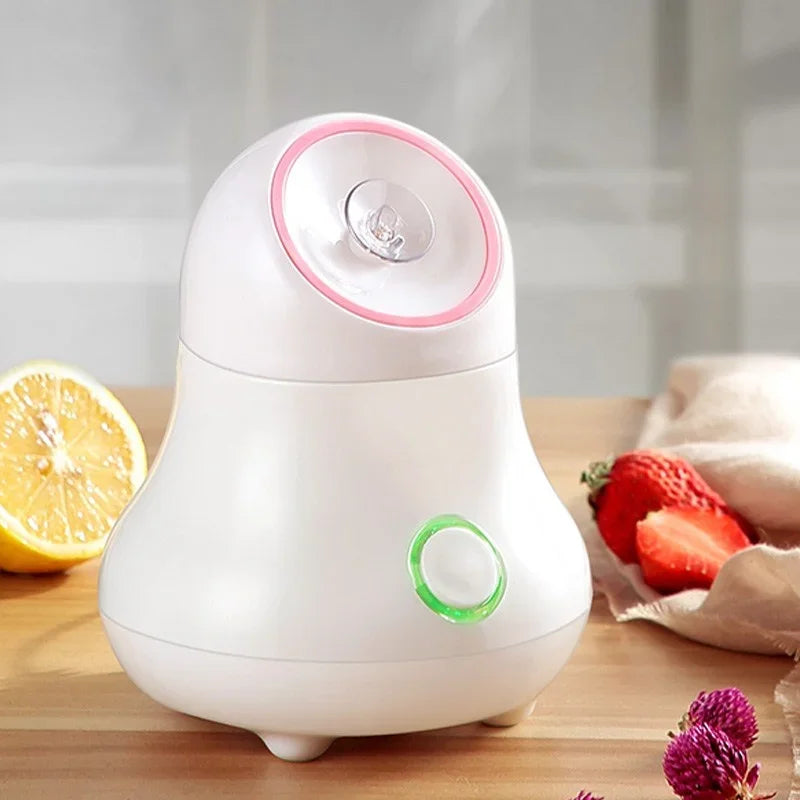 ANBADUBA Hot & Cold Facial Steamer – Nano Mist Skin Hydration & Cleansing Device