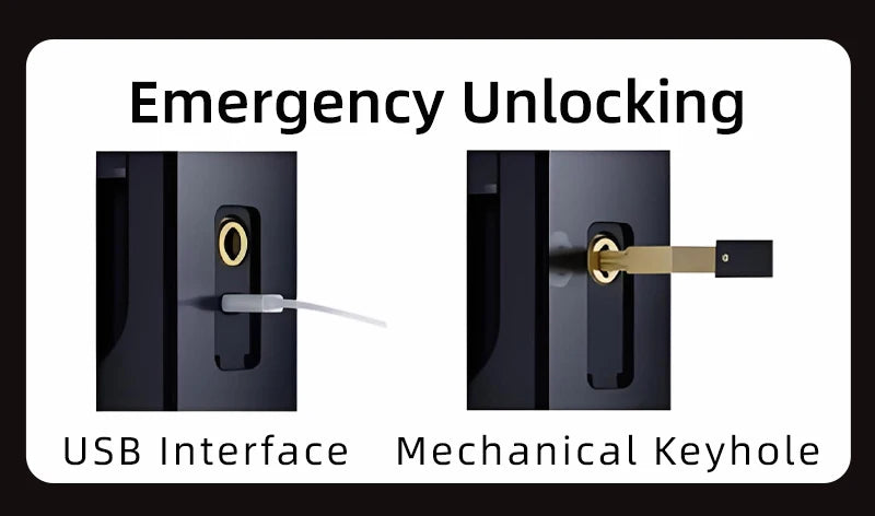 Wishome W-F9 Smart Face Recognition Door Lock with Camera & HD Screen – WiFi Fingerprint Lock