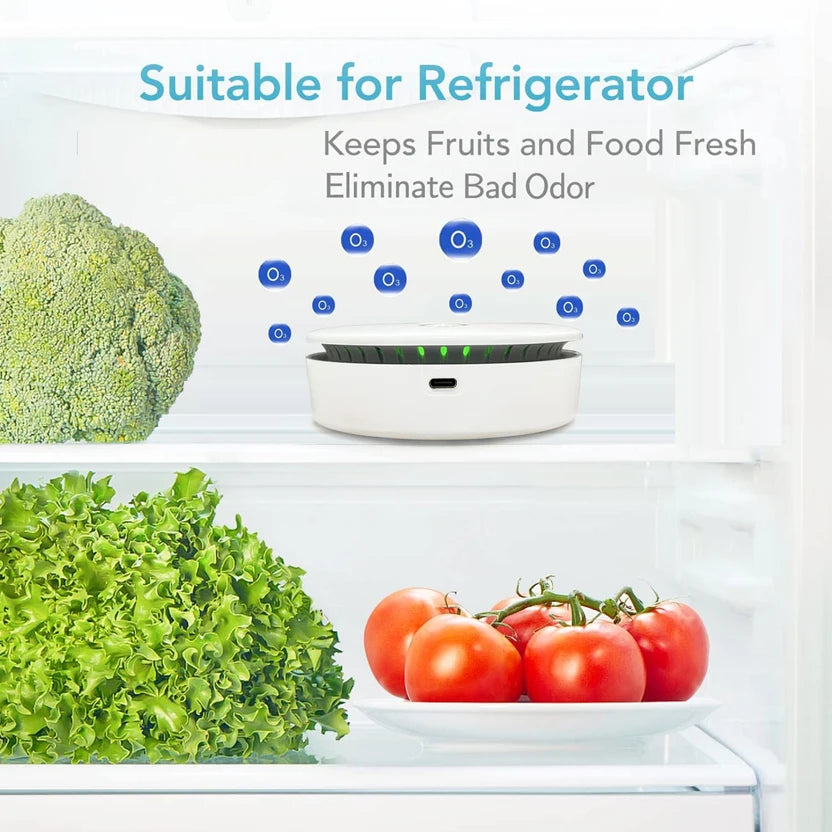 ENERFER Portable Ozone Air Purifier – Negative Ion Deodorizer for Pet & Bathroom Odors